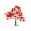 Illawarra Logo