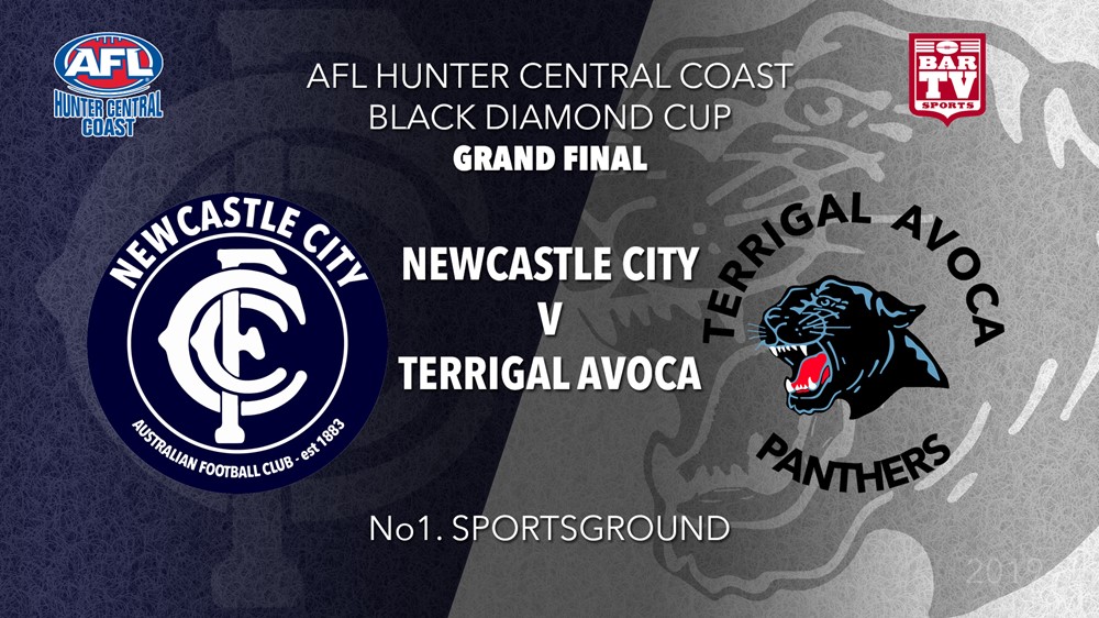 AFL HCC Grand Final - Cup - Terrigal Avoca Panthers v Newcastle City  Slate Image