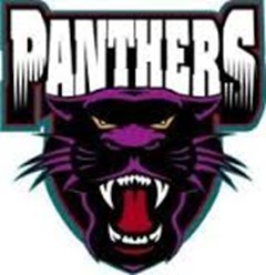Sussex Inlet Panthers Logo