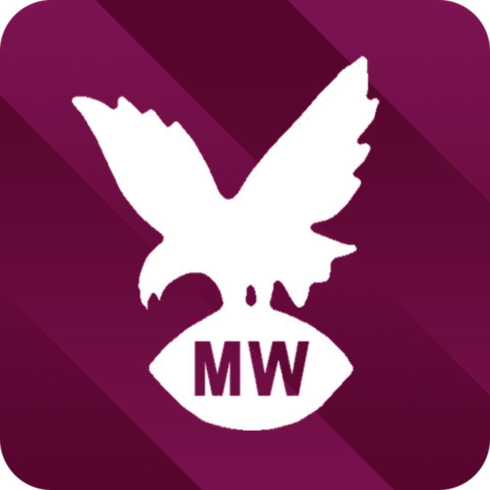 Watch Manly Leagues matches LIVE on BarTV Sports!