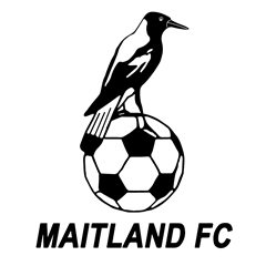 Maitland FC Logo