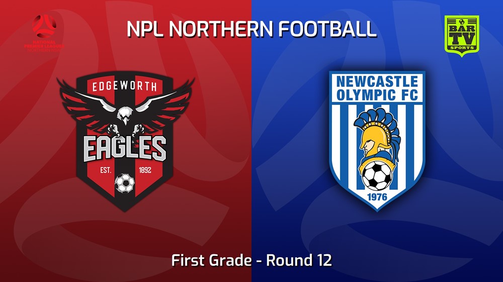 230520-NNSW NPLM Round 12 - Edgeworth Eagles FC v Newcastle Olympic Slate Image