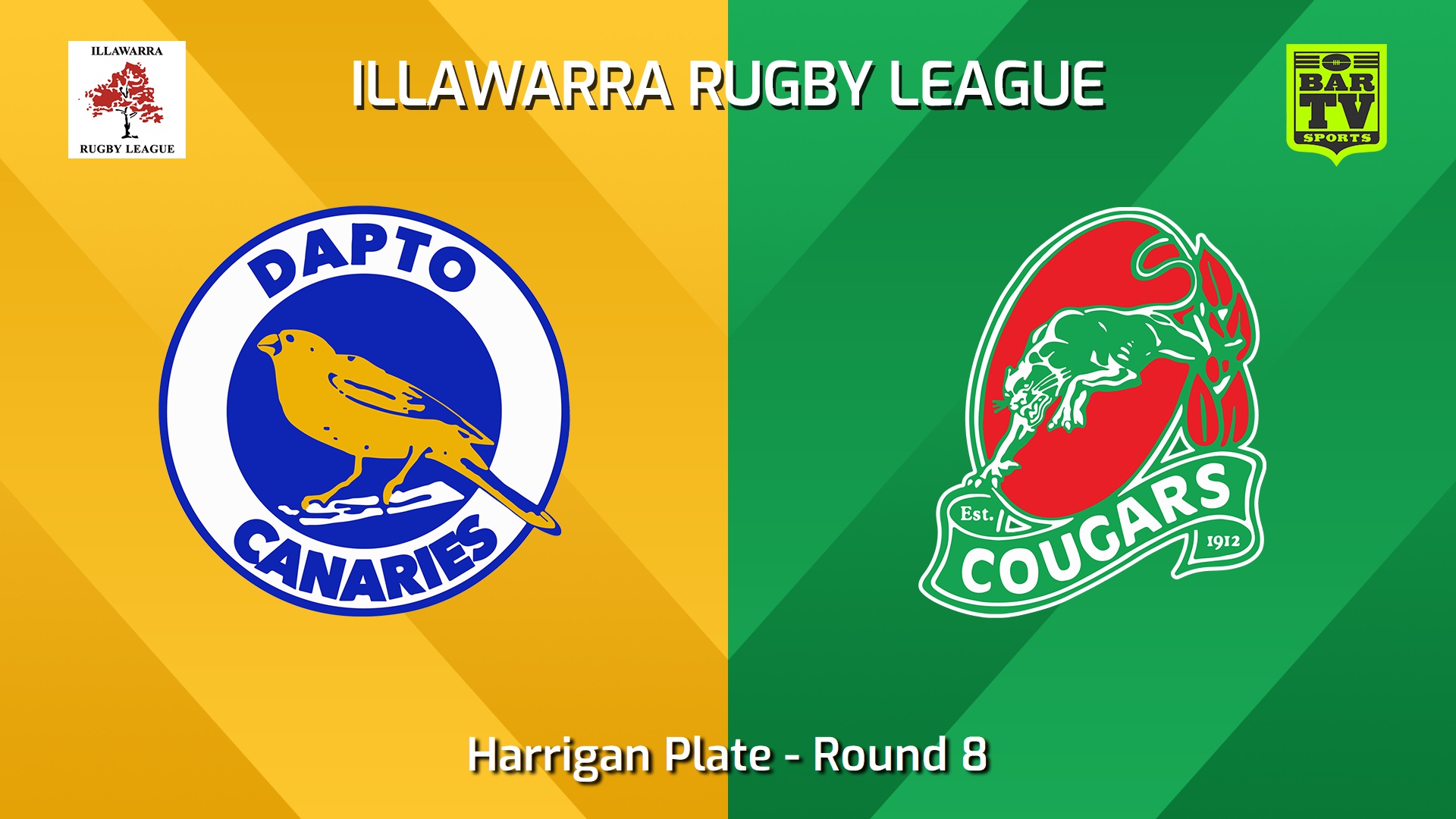 240615-video-Illawarra Round 8 - Harrigan Plate - Dapto Canaries v Corrimal Cougars Slate Image