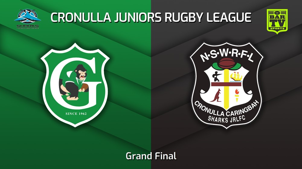 230826-Cronulla Juniors Grand Final - U10 Gold - Gymea Gorillas v Cronulla Caringbah Slate Image