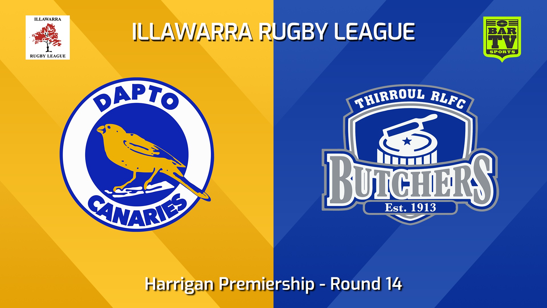 240803-video-Illawarra Round 14 - Harrigan Premiership - Dapto Canaries v Thirroul Butchers Slate Image