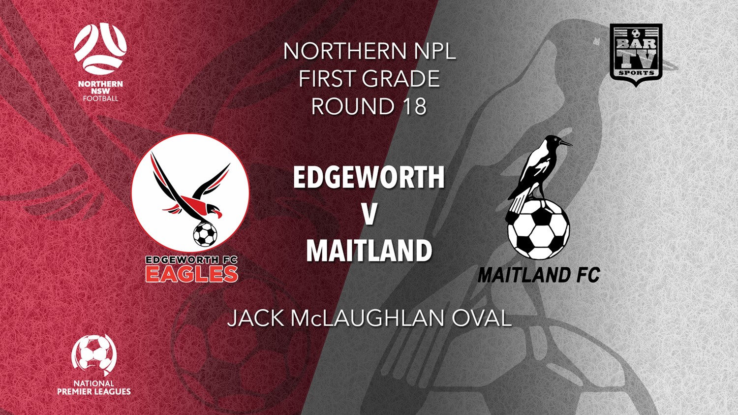 NPL - NNSW Round 18 - Edgeworth Eagles FC v Maitland FC Minigame Slate Image