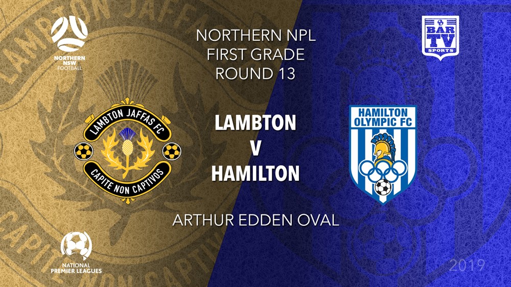 NPL - NNSW Round 13 - Lambton Jaffas FC v Hamilton Olympic FC Slate Image