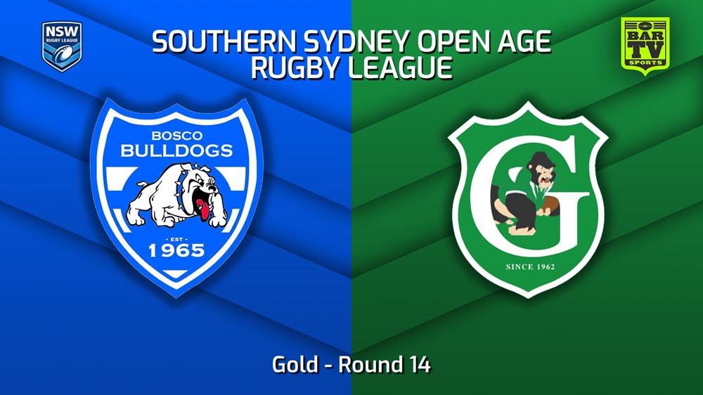 230729-S. Sydney Open Round 14 - Gold - St John Bosco Bulldogs v Gymea Gorillas Minigame Slate Image