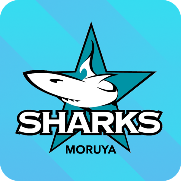 Moruya Sharks Logo
