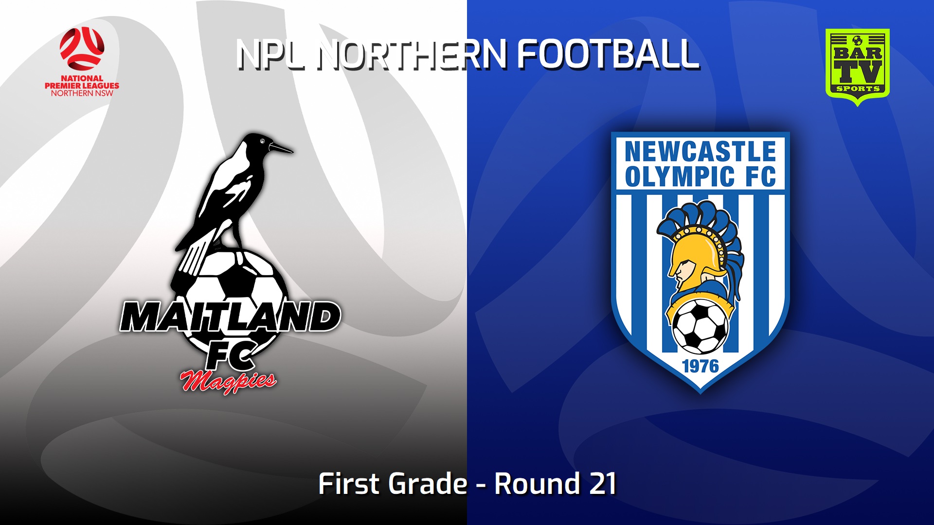 230805-NNSW NPLM Round 21 - Maitland FC v Newcastle Olympic Slate Image