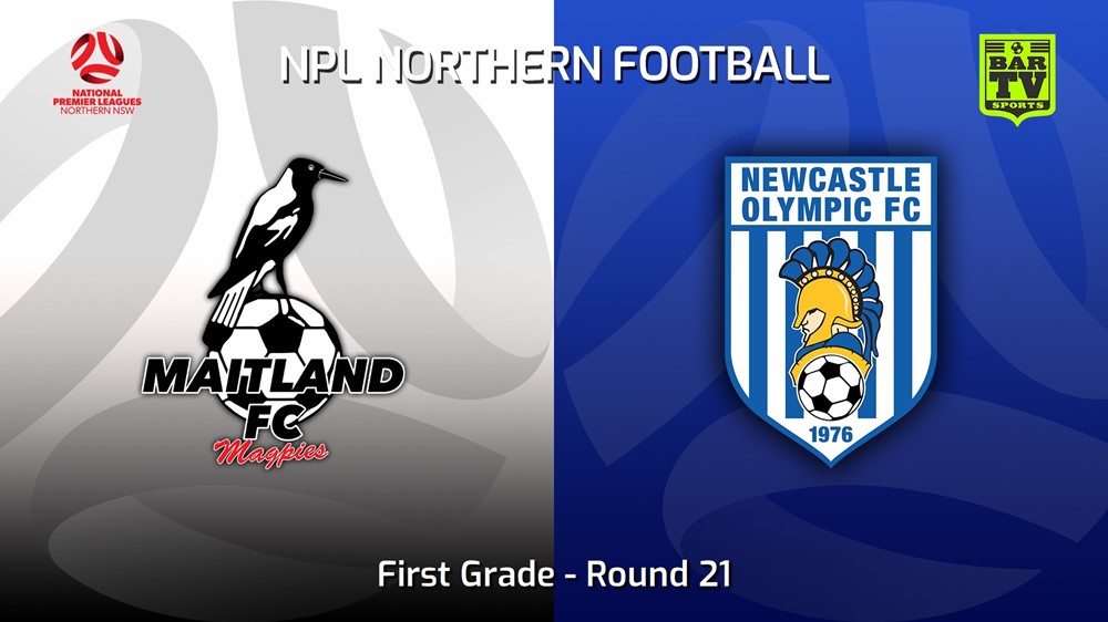 230805-NNSW NPLM Round 21 - Maitland FC v Newcastle Olympic Slate Image