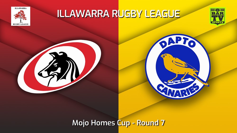 230617-Illawarra Round 7 - Mojo Homes Cup - Collegians v Dapto Canaries Minigame Slate Image