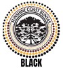SCB BLACK Logo
