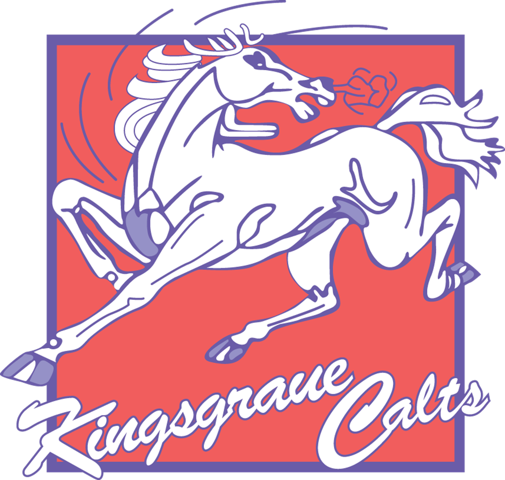 Watch Kingsgrove Colts matches LIVE on BarTV Sports!