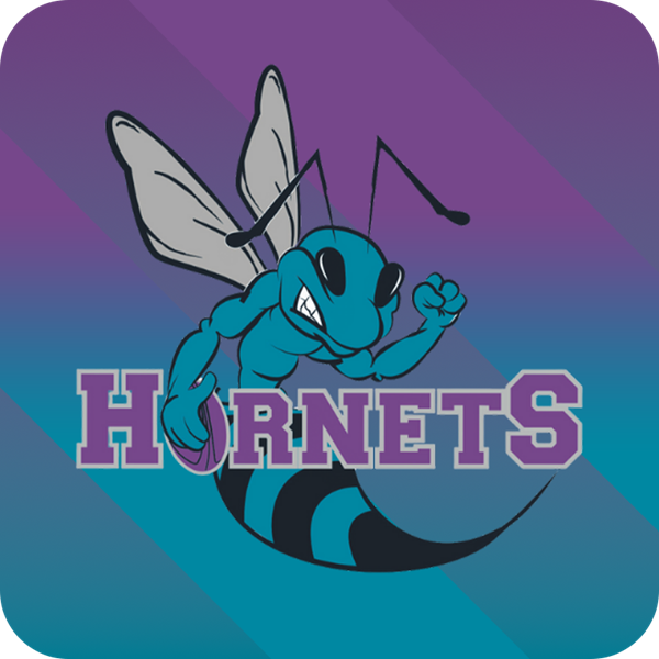 Hunter Western Hornets Logo