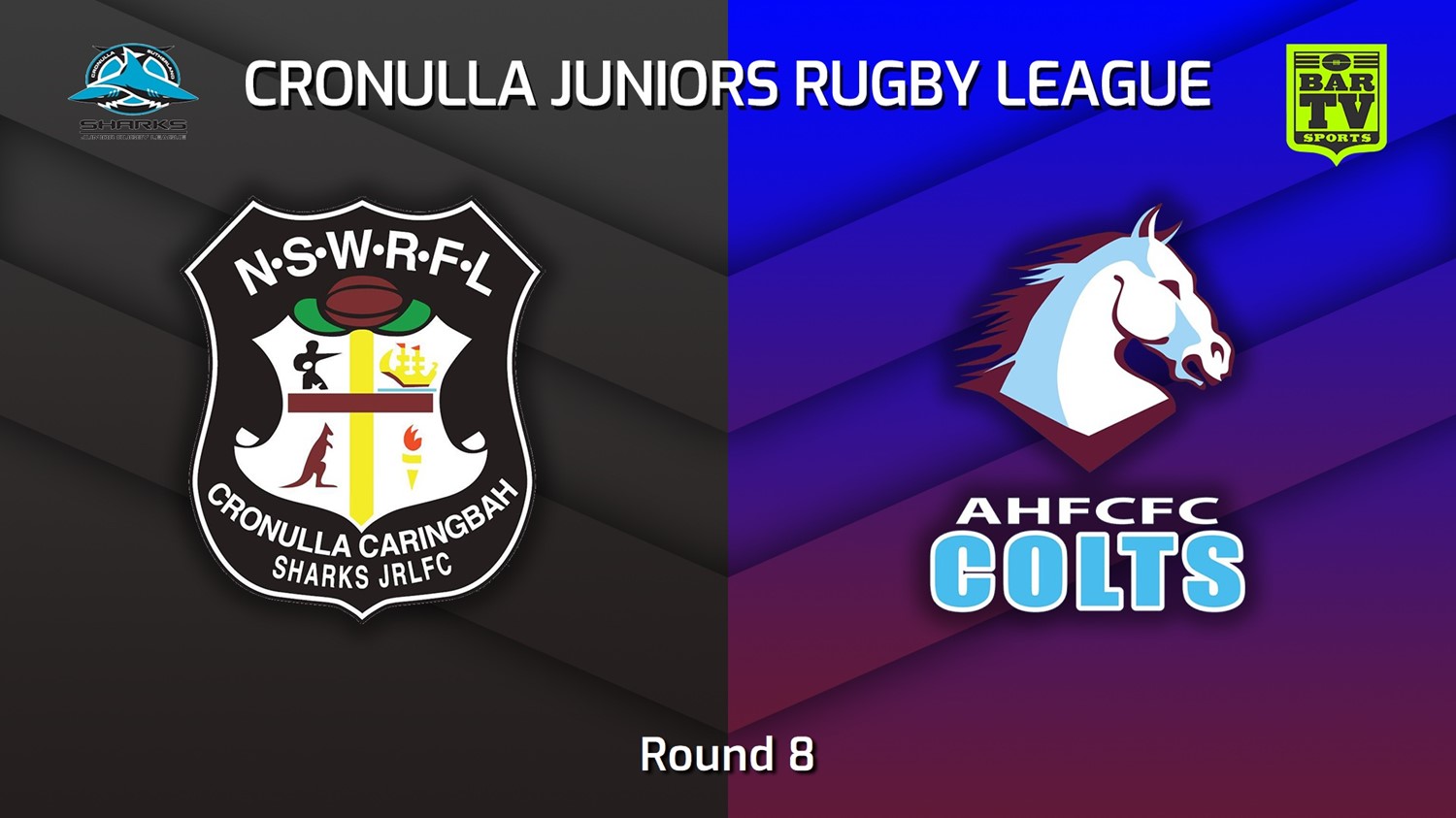 230604-Cronulla Juniors Round 8 - Open Women's Blues Tag - Cronulla Caringbah v Aquinas Colts Slate Image