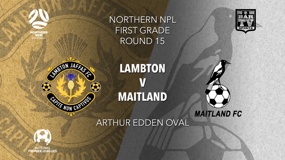 NPL - NNSW Round 15 - Lambton Jaffas FC v Maitland FC Slate Image