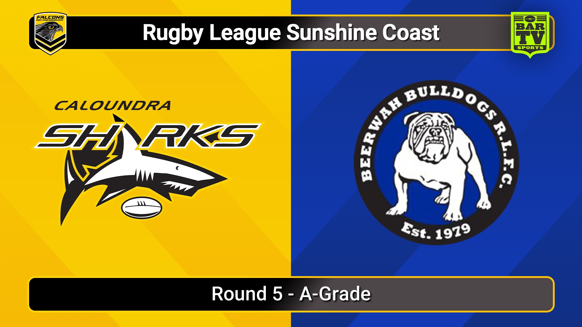 250510-video-Sunshine Coast RL Round 5 - A-Grade - Caloundra Sharks v Beerwah Bulldogs Slate Image