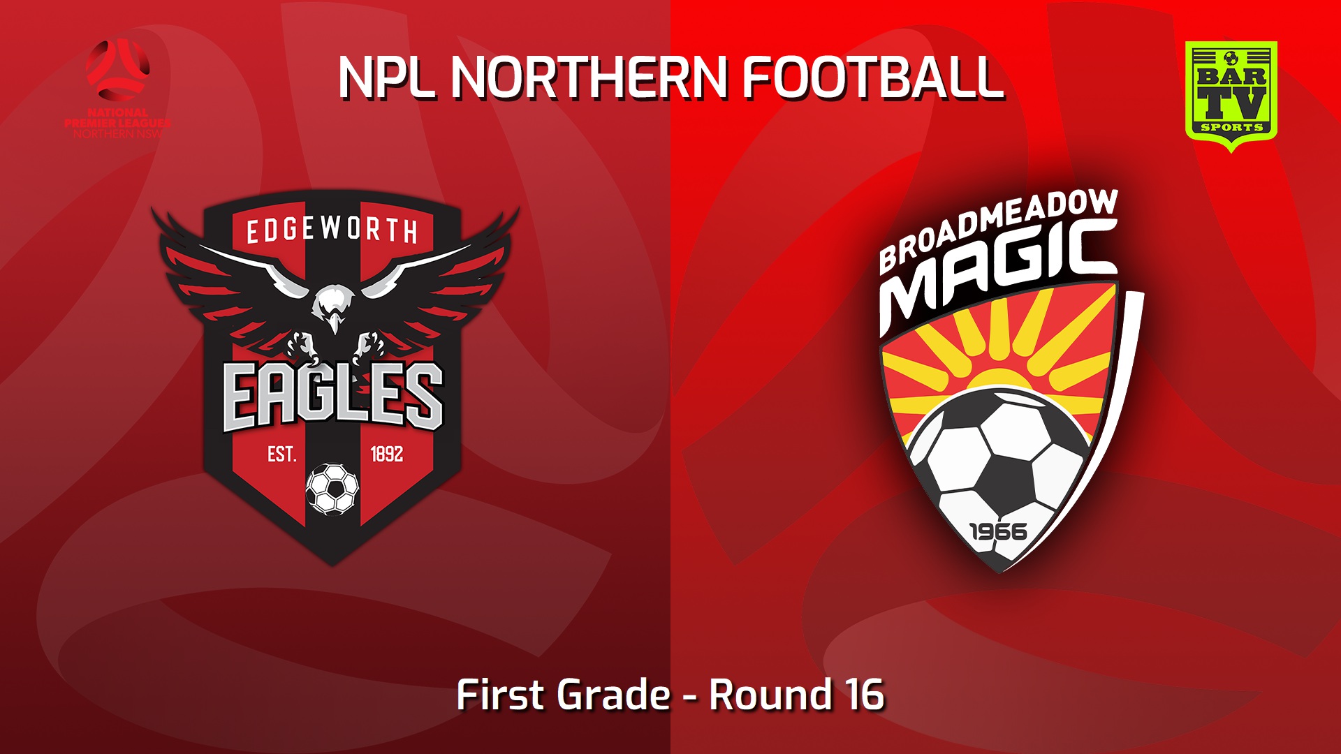 220625-NNSW NPLM Round 16 - Edgeworth Eagles FC v Broadmeadow Magic Slate Image