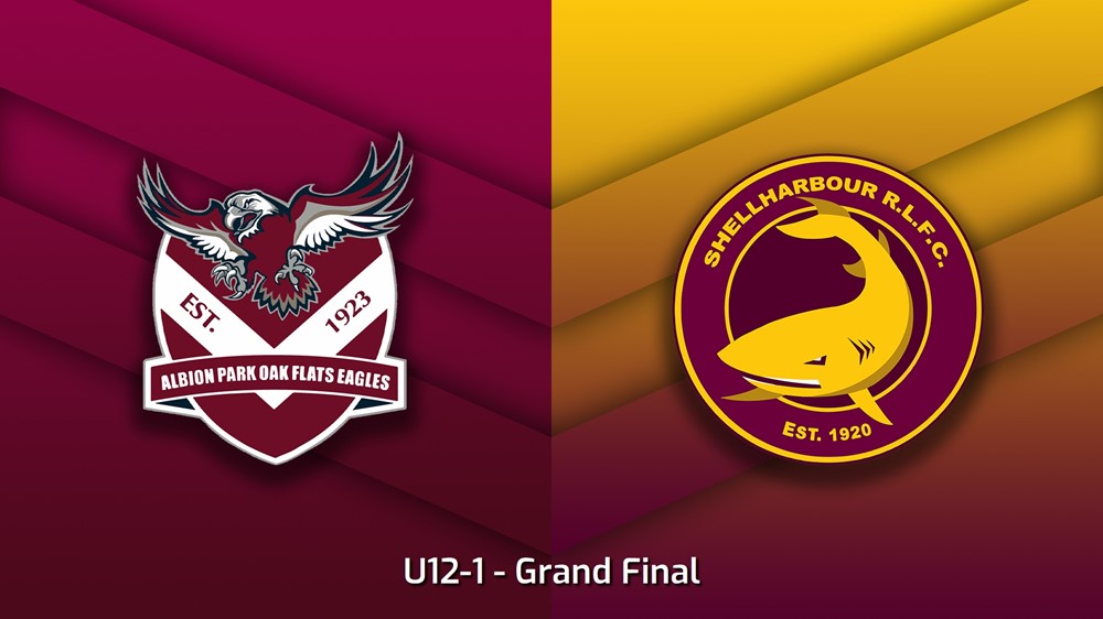 230826-South Coast Juniors Grand Final - U12-1 - Albion Park Oak Flats Eagles v Shellharbour Sharks Slate Image