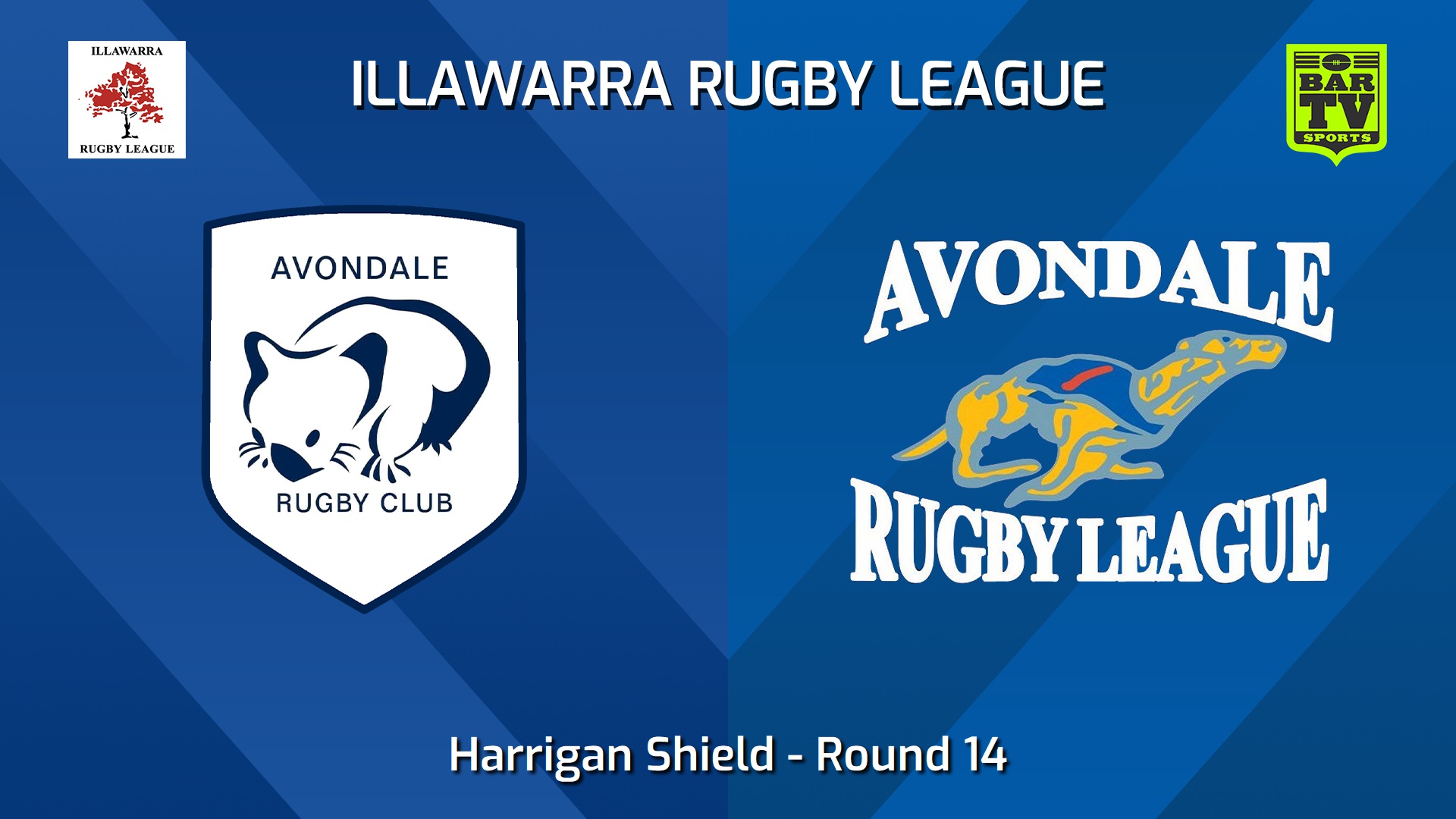 240803-video-Illawarra Round 14 - Harrigan Shield - Avondale Wombats v Avondale Greyhounds Minigame Slate Image