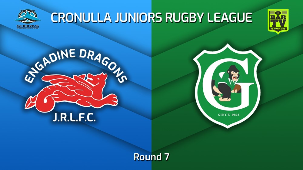 220618-Cronulla Juniors - U10 Bronze Round 7 - Engadine Dragons v Gymea Gorillas Slate Image