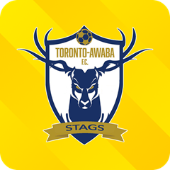 Toronto Awaba FC Logo