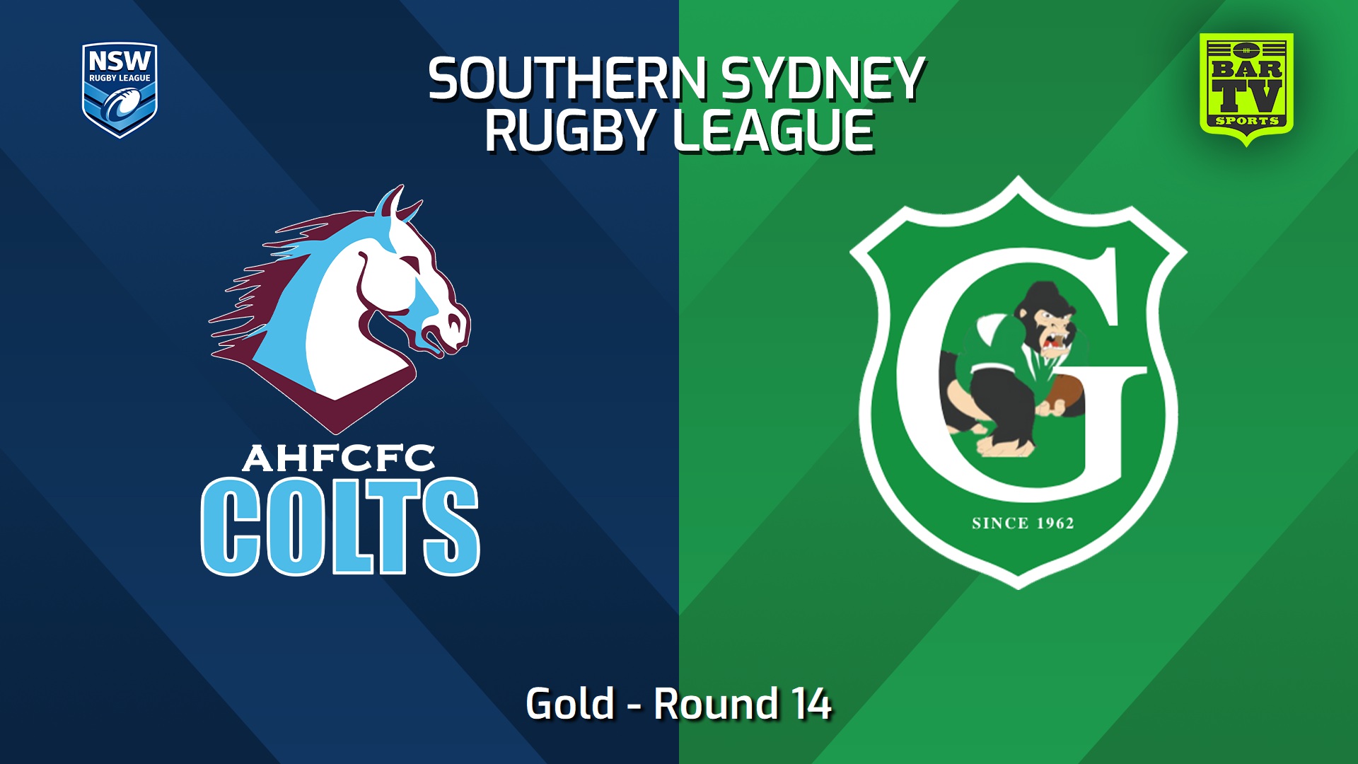 240727-video-S. Sydney Open Round 14 - Gold - Aquinas Colts v Gymea Gorillas Slate Image