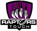 Raptors Logo