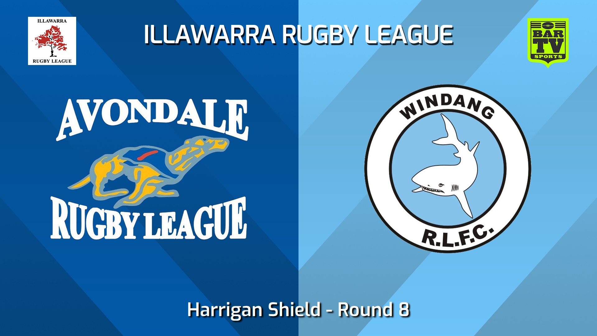 240615-video-Illawarra Round 8 - Harrigan Shield - Avondale Greyhounds v Windang Sharks Minigame Slate Image