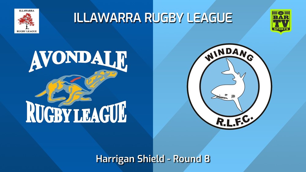 240615-video-Illawarra Round 8 - Harrigan Shield - Avondale Greyhounds v Windang Sharks Slate Image