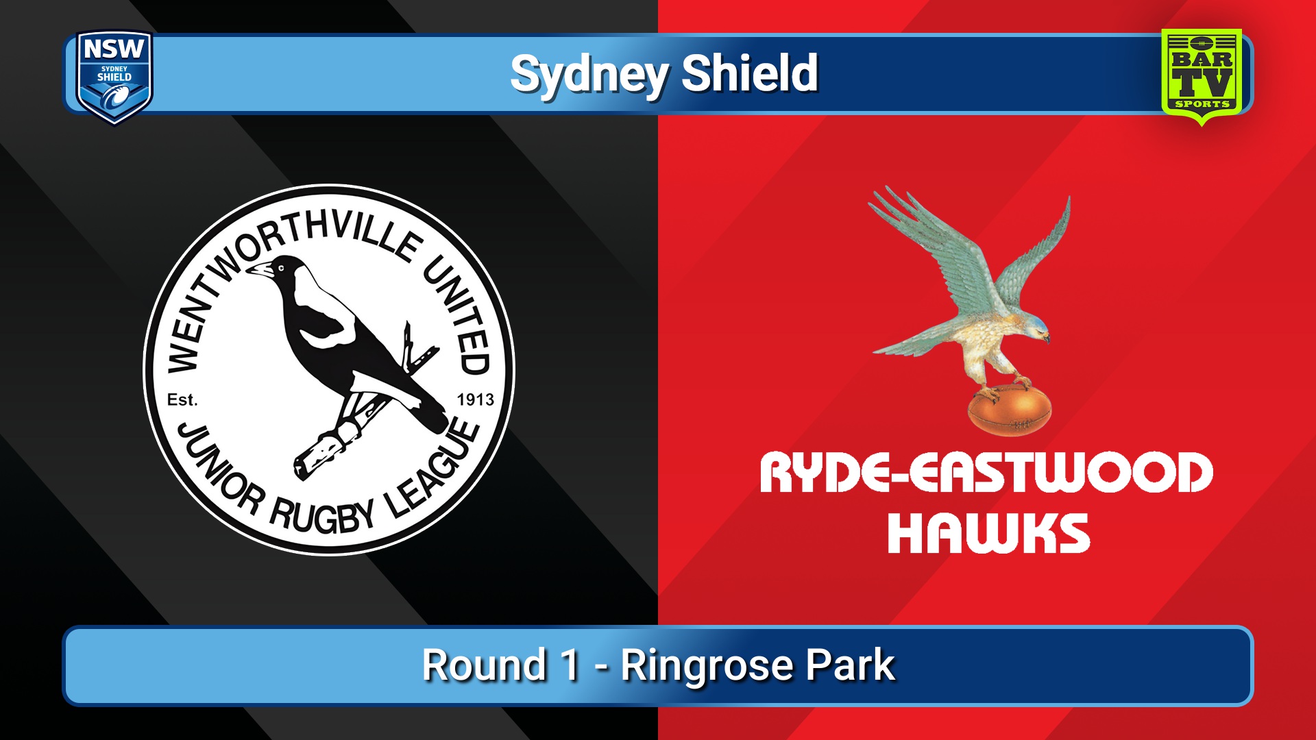 250315-video-Sydney Shield Round 1 - Wentworthville United v  Hawks Slate Image