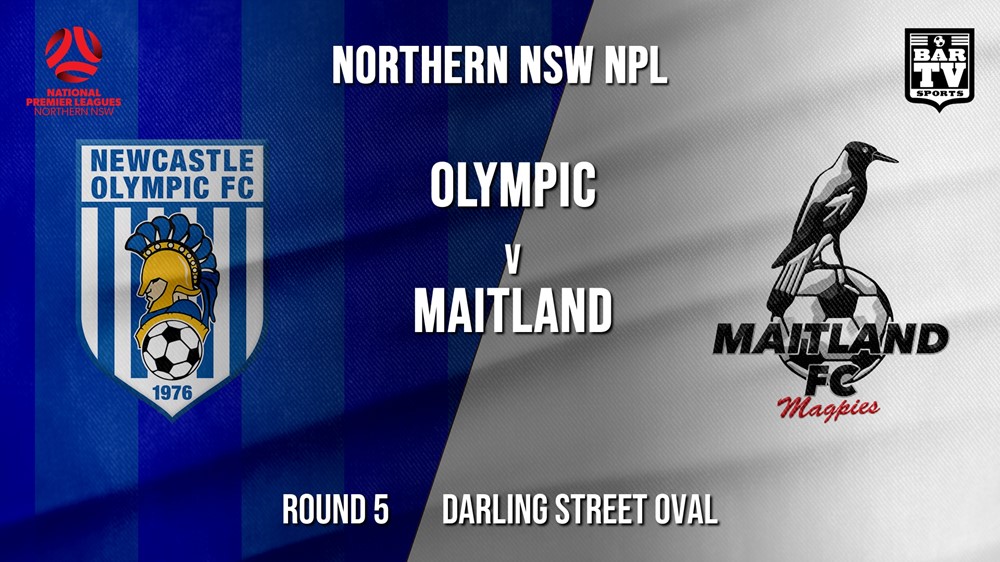 NPL - NNSW Round 5 - Newcastle Olympic v Maitland FC (1) Slate Image