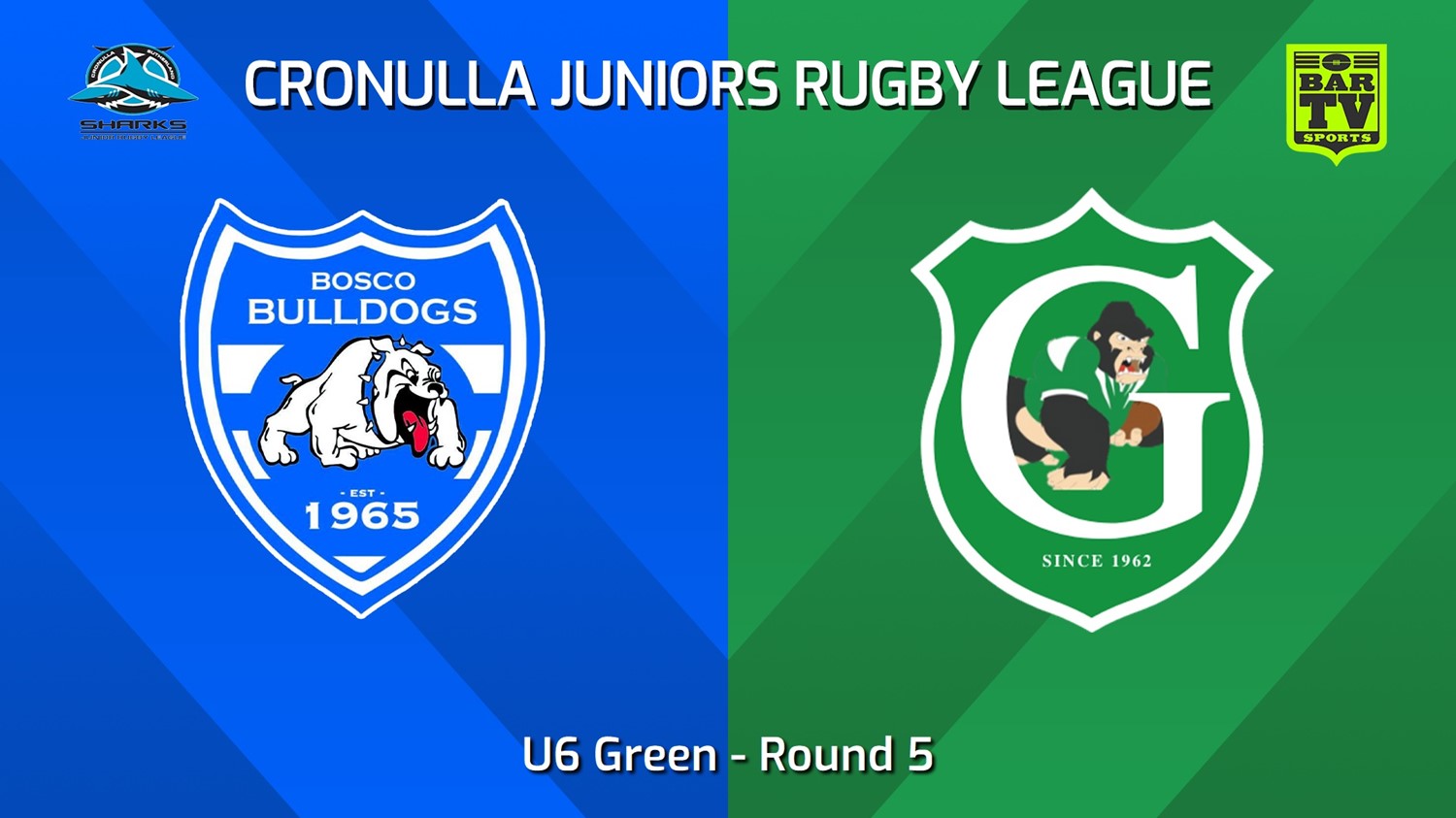 240518-video-Cronulla Juniors Round 5 - U6 Green - St John Bosco Bulldogs v Gymea Gorillas Slate Image