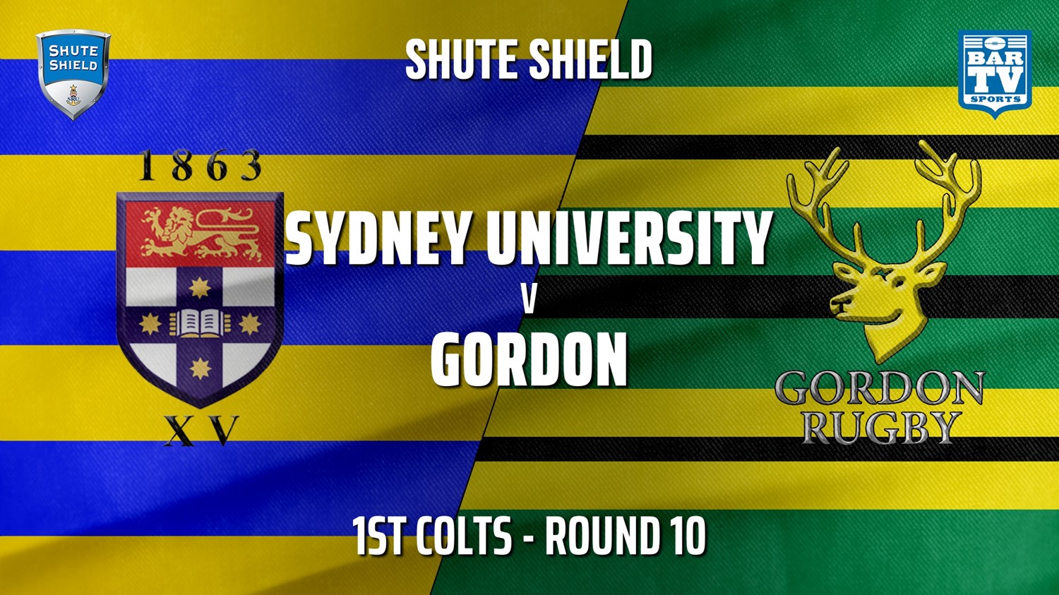 MINI GAME: Shute Shield Round 10 - 1st Colts - Sydney University v Gordon Slate Image