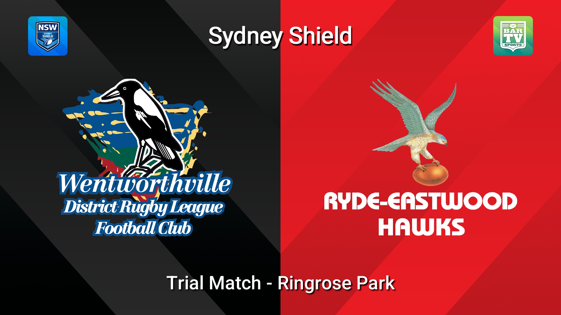260307-video-Sydney Shield Trial Match - Wentworthville Magpies  v  Hawks Slate Image