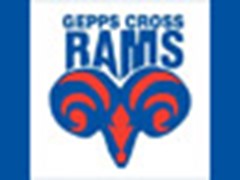 GEPPS CROSS Logo