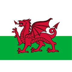 Wales Red Dragons (men's) Logo