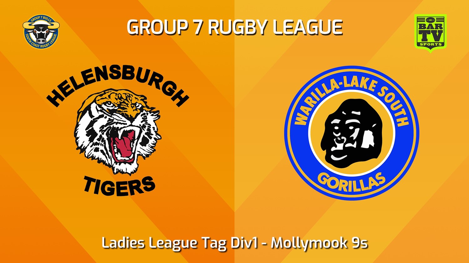 240309-South Coast Mollymook 9s - Ladies League Tag Div1 - Helensburgh Tigers v Warilla-Lake South Gorillas Slate Image