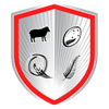NZ Barbarians Logo