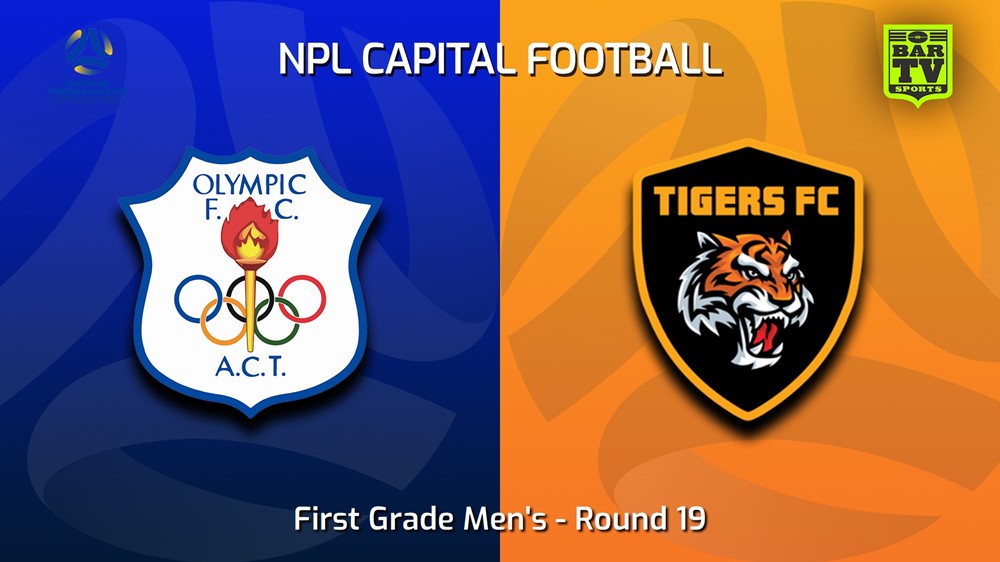 230819-Capital NPL Round 19 - Canberra Olympic FC v Tigers FC Slate Image