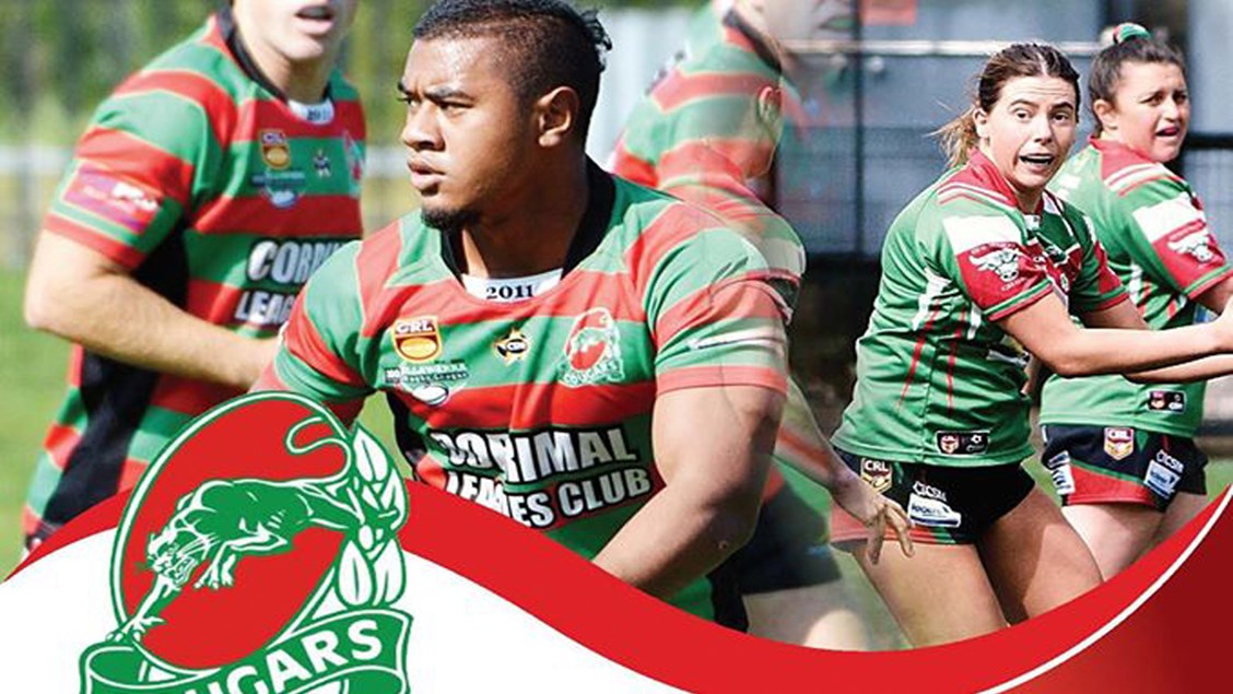 Cougar Mania in Corrimal Image
