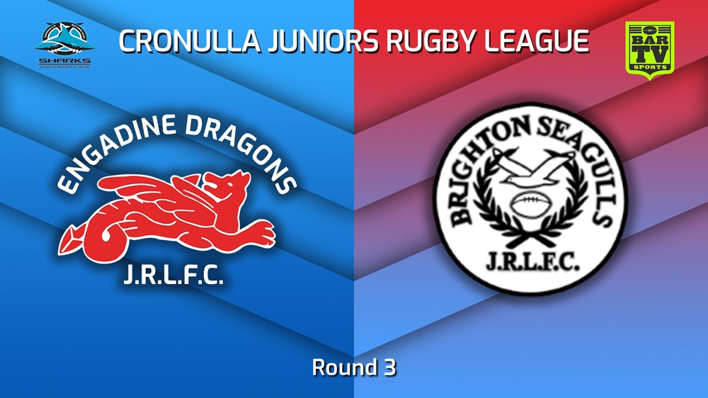 230429-Cronulla Juniors Round 3 - U13 Silver - Engadine Dragons v Brighton Seagulls Minigame Slate Image