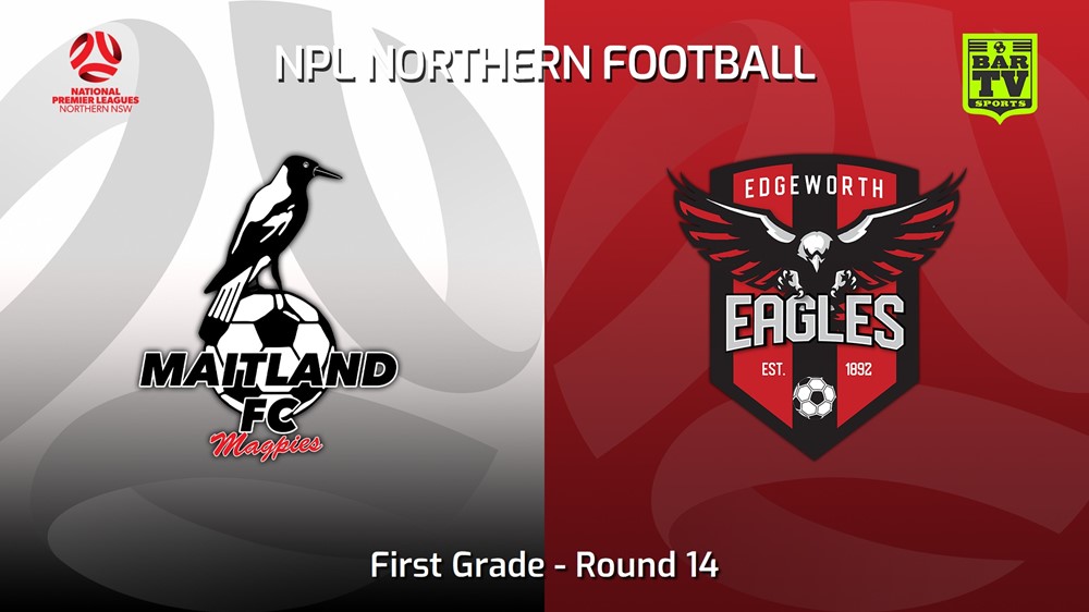 230715-NNSW NPLM Round 19 - Maitland FC v Edgeworth Eagles FC Slate Image