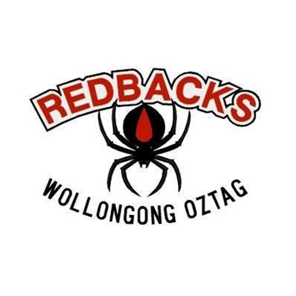 Wollongong Logo
