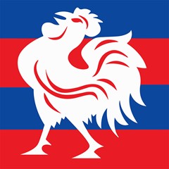 Tamworth Roosters Logo