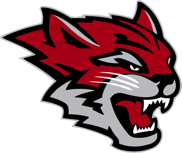 Wildcats Logo